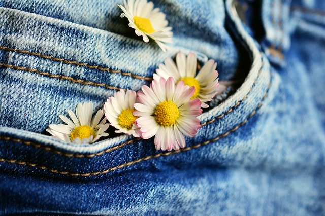 A picture of a jeans front pocket with daisy flowers sticking out of the pocket