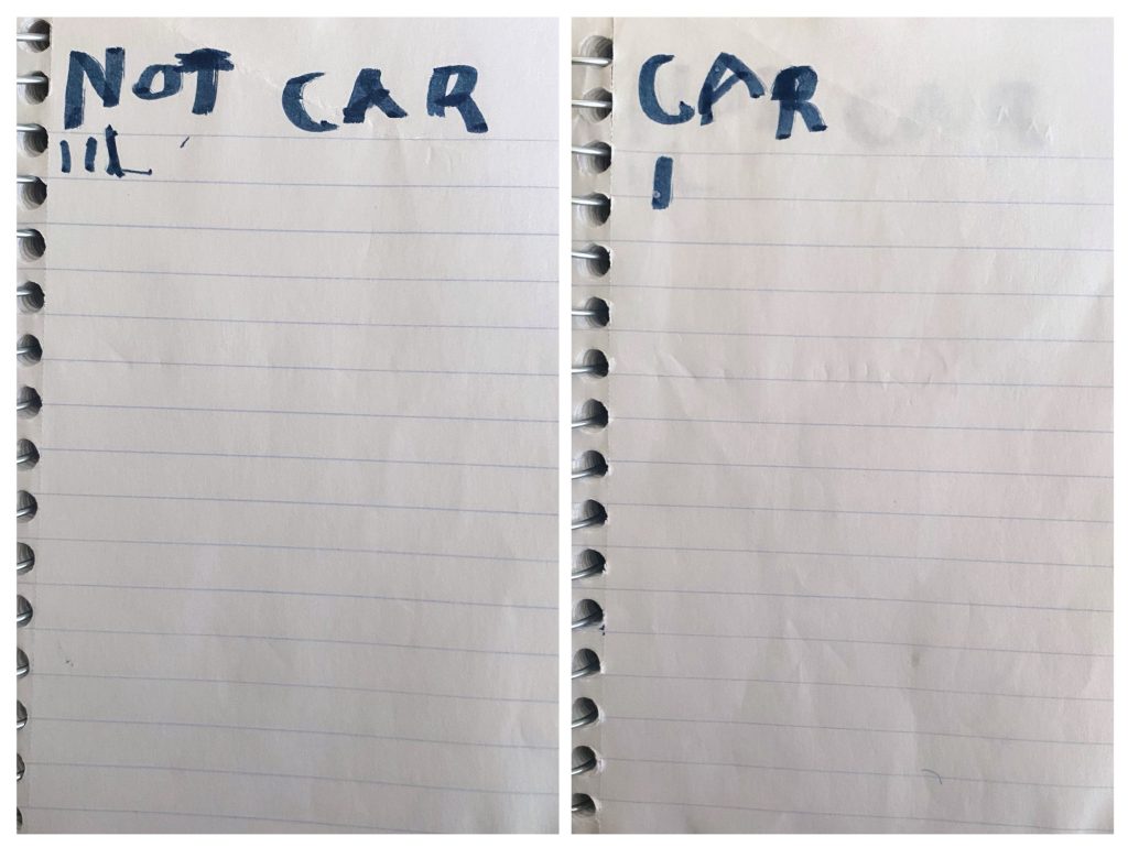 My kid’s transport goals for the year: fewer car rides.